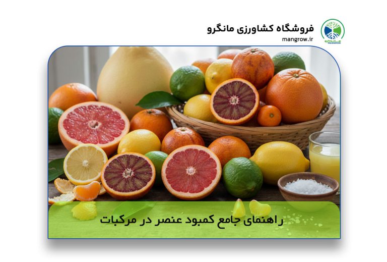 راهنمای جامع علائم کمبود عناصر در مرکبات